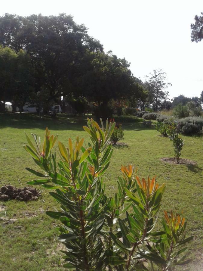 Guinea Fowl Villa Plettenberg Bay Bagian luar foto