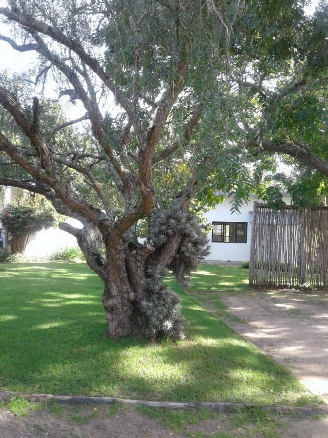 Guinea Fowl Villa Plettenberg Bay Bagian luar foto